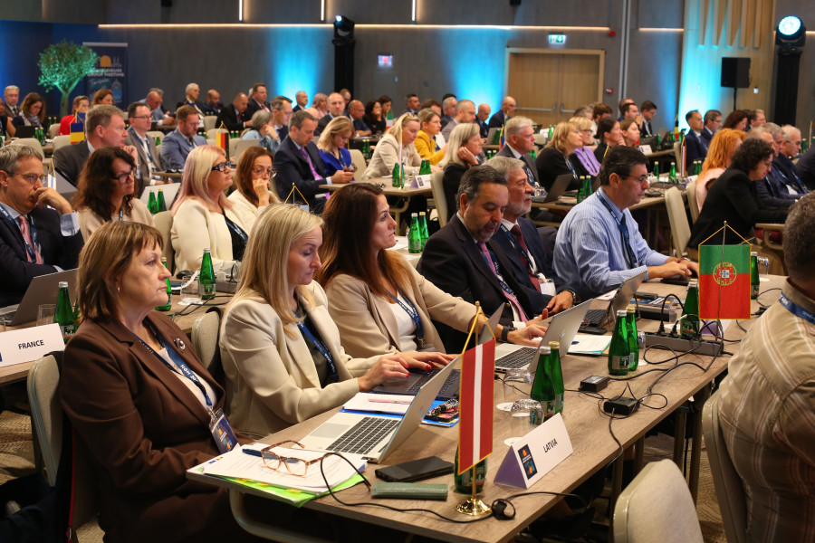 Foto da plateia e dos delegados sentados na 33rd Homologues Group Meeting